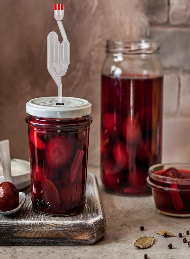 GODSDWARES قطع من صمامات تهوية للتخمير، طقم صنع النبيذ المنزلي، صمام تهوية لصنع النبيذ، طقم صنع النبيذ مع صمام تهوية على شكل حرف S، يناسب فتحات قوارير التخمير القياسية ومرطبانات ماسون - Image 5